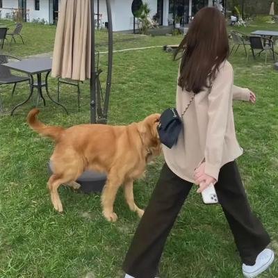 死亡热线
