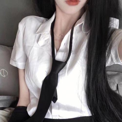 羔羊大律师